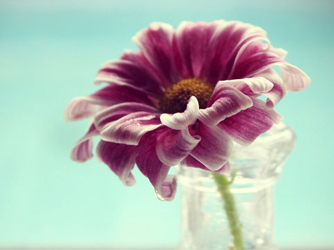 梦见前男友不理我是什么意思 做梦梦到前男友不理我好不好