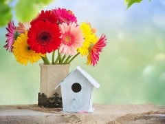 射手座的来源和由来