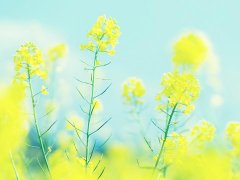 白羊座女生喜欢什么类型的老公