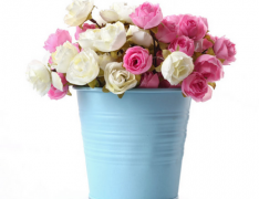 什么植物招桃花