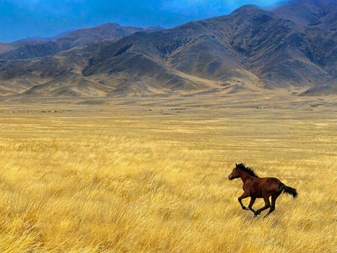 梦见前男友是什么意思 做梦梦到前男友好不好