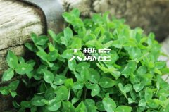 天蝎座不喜欢你的表现，早点放手吧