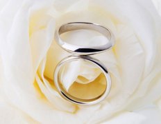 属猪十二星座的最佳配偶