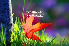 天蝎座和什么座最配，看看你们是否合适