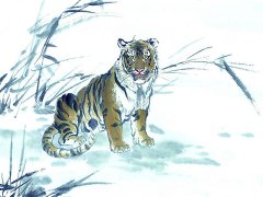 丙寅年是哪一年