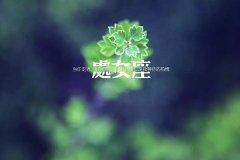 处女座和什么座最配，看看你们是否合适