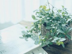 十二星座男精神出轨的表现