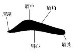 男人右眼眉毛里有痣