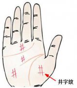 手相井子纹图解命运