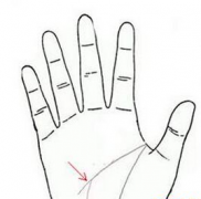 手掌智慧线分叉预示着什么