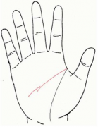 智慧线断开代表的意思