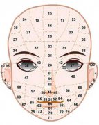 从脸相来看20－60岁运势