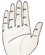 智慧线又浅又阔代表什么？