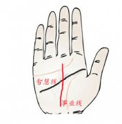 事业线和智慧线交叉代表什么