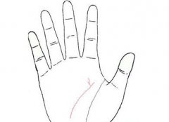 手相智慧线分叉代表什么