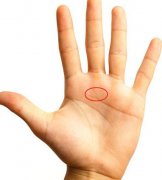 智慧线分叉有艺术天份