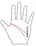 解读两条智慧线