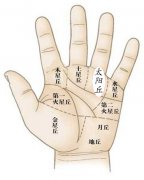 手相太阳丘代表着什么