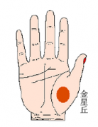 金星丘详细讲解手相