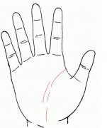 手相智慧线断开究竟是好是坏