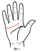 爱情总是昙花一现的手相