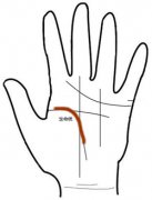预测手相 生命运势