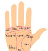 解析：手相 金星丘的含义