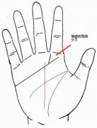 详细的图文解说，嫁富豪手相面相