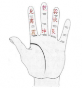 六十甲子配六十四掌诀