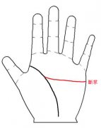 发财掌！注定有钱的手相