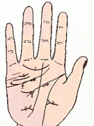 专家点评手上九大桃花线