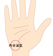 看手相“内分泌区”快速诊断健康寿命