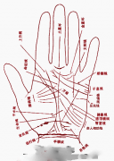 手相掌纹介绍
