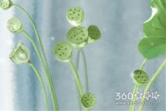 属兔的属相文化是什么 生肖兔的属相文化介绍