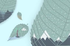 属兔的人财迷程度有多深