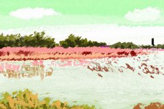 生肖虎因为名声太坏没人靠近