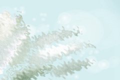 属虎人最喜欢哆啦A梦的什么法宝