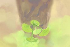 属虎的人喜欢的小说类型是什么