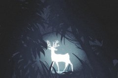 属狗的人最讨厌什么天气