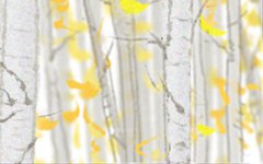 面对突发事件属羊人如何应对