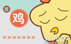 为了听场演唱会 属鸡人会省下什么开销