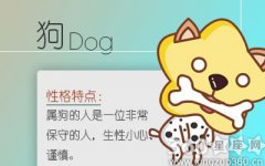 属狗适合学什么乐器