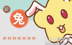 属兔人都是如何炫耀自己的生活的