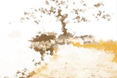 生肖鼠是一言不合就冷战的人吗