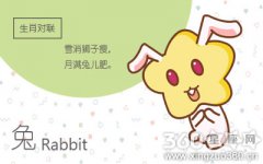 属兔穷极一生无法改变的感情弱点