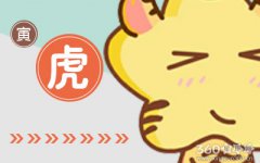 属虎人第一次坐飞机的感受