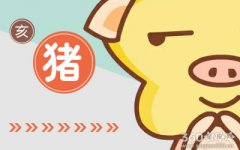生肖猪怎样才算是真正的爱过对方
