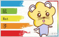 如何看出属鼠人对你是否有意思