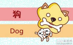 属狗的人遇到骗子会怎么做