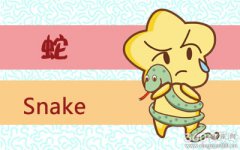 属蛇的人遇到骗子会怎么做